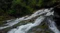 Aerial drone shot flying inside jungle with rocky waterfall and palm trees Photo