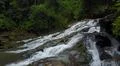 Aerial drone shot flying inside jungle with rocky waterfall and palm trees Photo