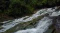 Aerial drone shot flying inside jungle with rocky waterfall and palm trees Photo