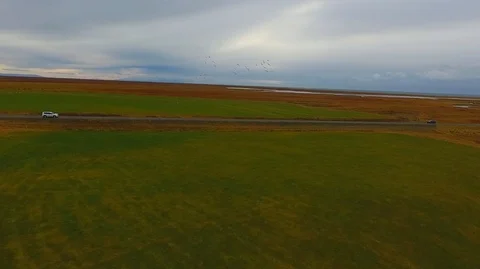 Aerial drone shot flying over a flock of sheep walking on the road in Iceland Stock Footage 119995953