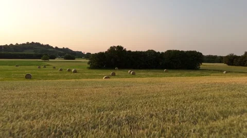 Aerial drone shot flying over farmland with round hay bales at sunset Stock Footage 335945372