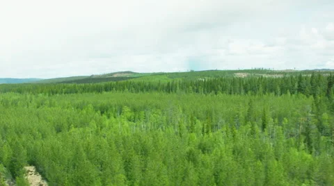 Aerial drone shot of forest Stock Footage 52578778