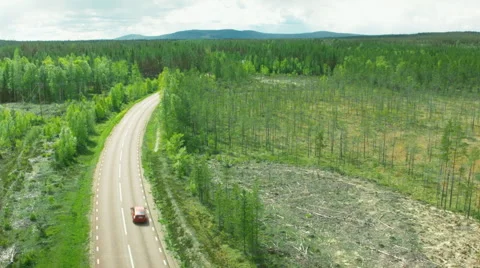 Aerial drone shot of forest Stock Footage 52709934