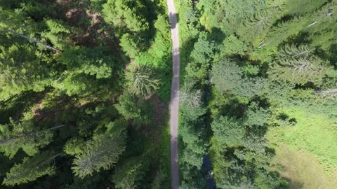 Aerial drone shot of forest path in Germany 스톡 동영상 345013020