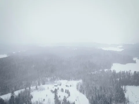 Aerial Drone Shot Forest in the Winter Stock Footage 70320189