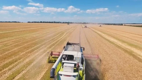 Aerial drone shot of a four combines harvesters working day in big a field. FHD Video stock 80235528