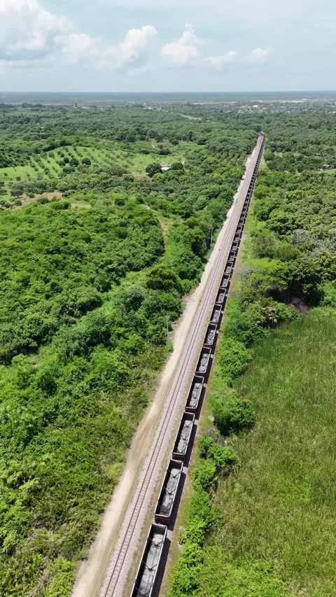 Aerial Drone Shot Of A Freight Train On A Railway Surrounded By Forest Colombia Stock Footage 285159729