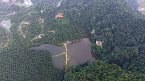 Aerial drone shot glides over a serene lake Stock Footage 342604737