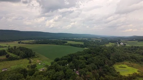 An aerial drone shot gliding over vibrant green agricultural fields forests and Video stock 345182344