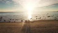 Aerial Drone Shot Of Group Of People Running Into Water At Sunset Stock Footage