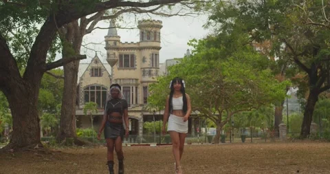 Aerial drone shot looking down at two girls enjoying a massive green park on a Stock Footage 336649972