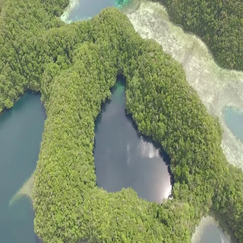 Aerial drone shot of Marine Lake and Rock Islands Stock Footage