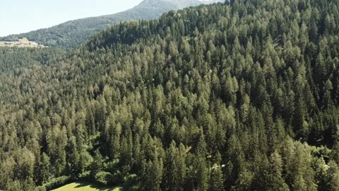 Aerial drone shot of mass pine tree forest in Austria Alps from far to close Stock Footage