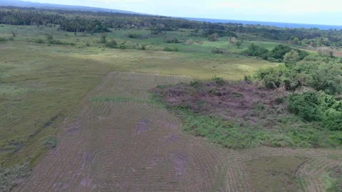 Aerial Drone Shot Moving Forward Over Cleared Land and Tropical Forest 4K Vídeos de archivo 337598364