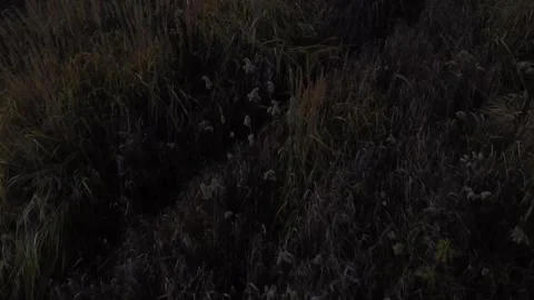 Aerial Drone Shot Over Fields In Wroclaw Poland Footage Stock Footage 246820869