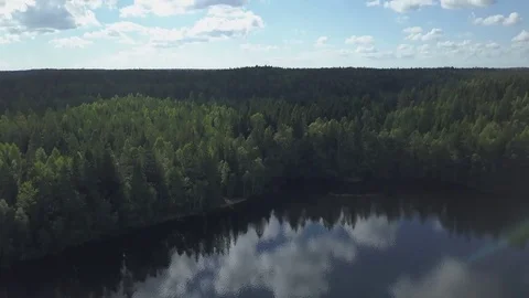 Aerial drone shot over a forest in finland, beautiful landscape Stock Footage