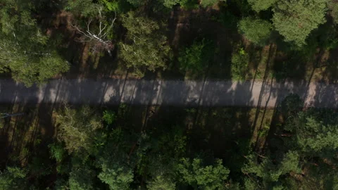 Aerial drone shot over pine forest and road Stock Footage 131894793