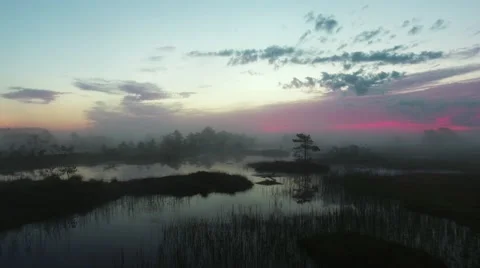 Aerial Drone Shot over Vast Swamp Area at Foggy Morning. Stock Footage