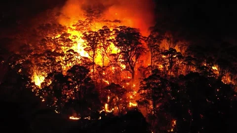 Aerial Drone Shot Overlooking Trees in Flames 库存影片 261048768