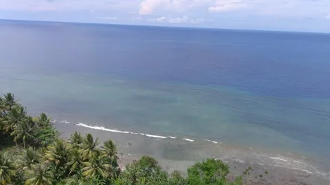 Aerial Drone Shot Panning Left Over Tropical Palm Forest and Open Ocean 4K Stock Footage 337598397