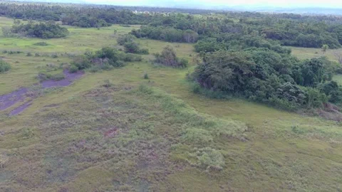 Aerial Drone Shot Panning Left Over Tropical Grassland and Forest Landscape 4K Stock Footage 337598399