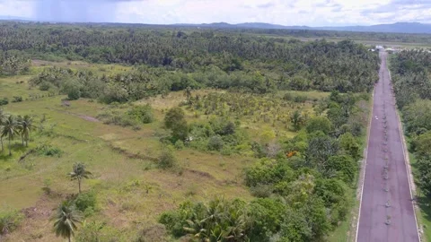 Aerial Drone Shot Panning Left Over Coastal Road and Palm Forest 4K Stock Footage 337598400