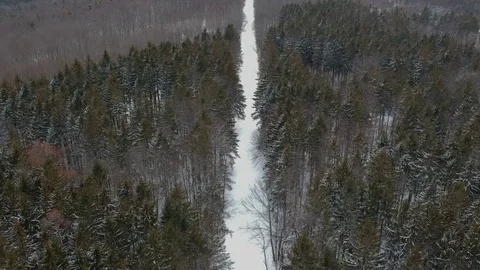 Aerial drone shot of path through snowy winter forest. Stock Footage 86571374