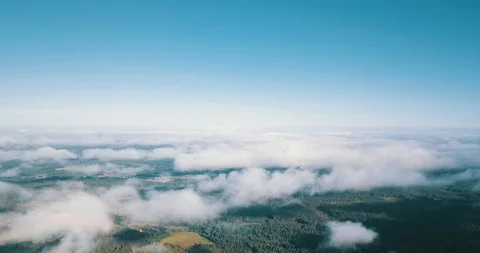Aerial drone shot of pine tree covered by white clouds Stock Footage 92192640