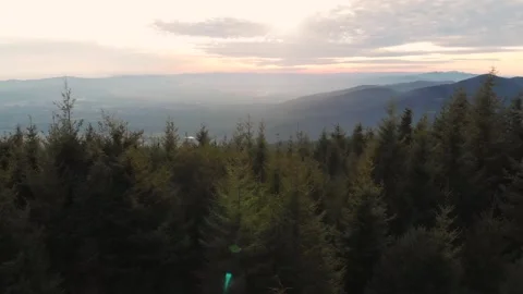 Aerial drone shot of pine trees and mountains at sunset Vídeo Stock 261706202