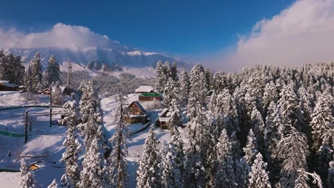 Aerial drone shot of pristine white land framed by snow-covered conifers in Stock Footage 311946944