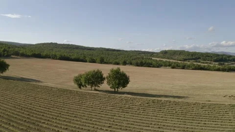 Aerial drone shot pullback over fields and villa in south of France  Stock Footage 137505279