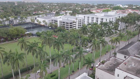 Aerial drone shot pushing over palm tree lined road in Palm Beach Florida Stock Footage 334810198