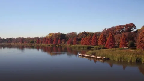 Aerial Drone Shot of Red Fall Trees on White Rock Lake in Dallas Texas Stock Footage 144219795