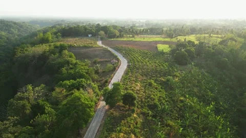 Aerial drone shot of rice fields and rural roads near Mt. Batulao in Balayan Vidéo 334129207