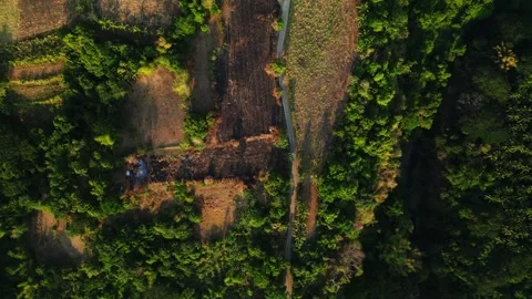 Aerial drone shot of rice fields and rural roads near Mt. Batulao in Balayan 動画素材 334129237