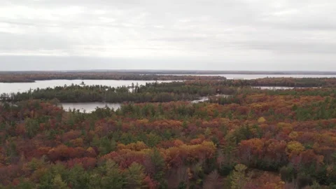 Aerial drone shot River Fall foliage Quebec landscape - Automne au Québec 库存影片 256841282