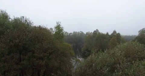 Aerial Drone Shot River Trees Foggy East Europe Forest Nature Outdoors Stock Footage 104730123