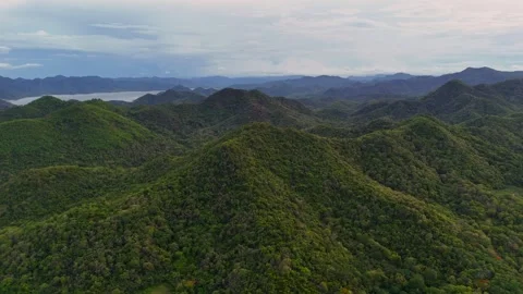 Aerial drone shot of rolling green mountains and forested hills under soft 스톡 동영상 314695754