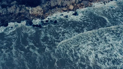 An aerial drone shot seagulls hovering against the surf Stock Footage 145652783