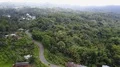 Aerial drone shot serpentine road in urban forest landscape of Flores 4k or 4k+ Resolution