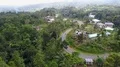 Aerial drone shot serpentine road in urban forest landscape of Flores 4k or 4k+ Resolution