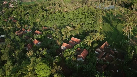 Aerial drone shot of a small remote village in Sungai Tengah Jember East Java Stock Footage 314699487