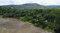 Aerial drone shot Spider Web Rice Fields and mountain landscape Flores 4k or 4k+ Resolution
