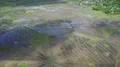 Aerial drone shot Spider Web Rice Fields landscape Flores high angle shot 4k or 4k+ Resolution