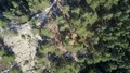 Aerial drone shot straight down coniferous mountain forest gorge Harz mountains 4k or 4k+ Resolution