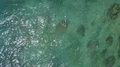 Aerial drone shot straight down boats at flat water seascape near beach 4k or 4k+ Resolution