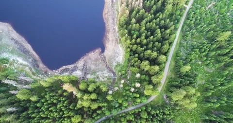 Aerial drone shot straight down top view  fly over the forest lake Stock Footage 105558376