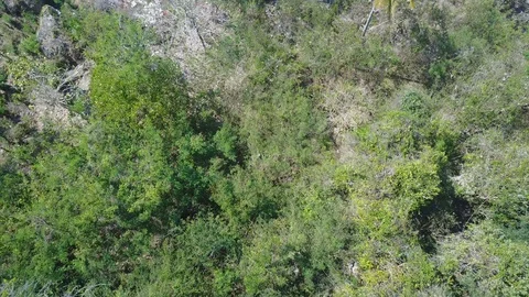 Aerial Drone Shot Thomas Beach Uluwatu Bali Stock Footage 101791243