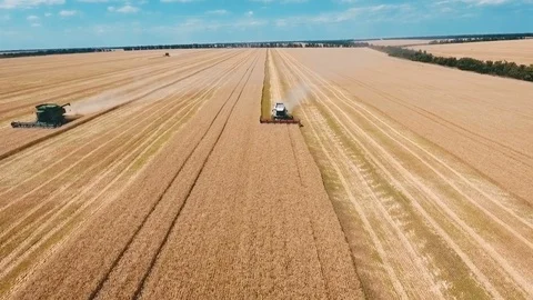 Aerial drone shot of a three combines harvesters working day in big a field. FHD Stock Footage 80232941