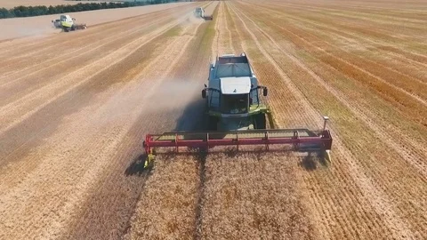 Aerial drone shot of a three combines harvesters working day in big a field. FHD Video stock 80236662